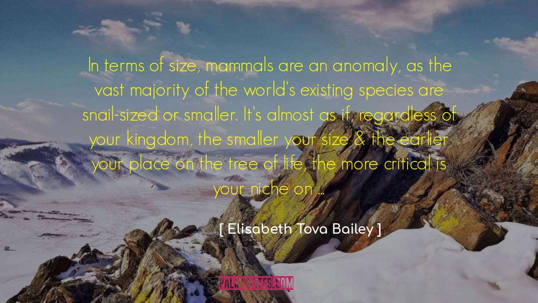 Elisabeth Tova Bailey Quotes: In terms of size, mammals