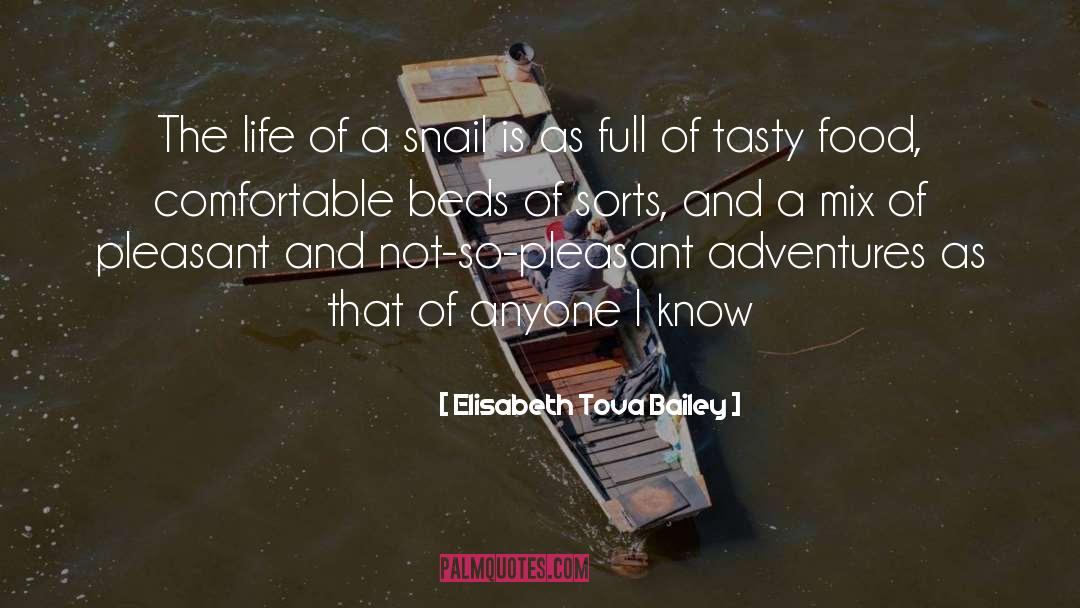Elisabeth Tova Bailey Quotes: The life of a snail