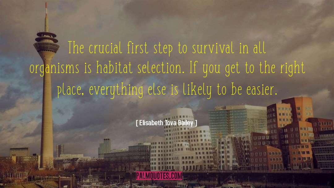 Elisabeth Tova Bailey Quotes: The crucial first step to