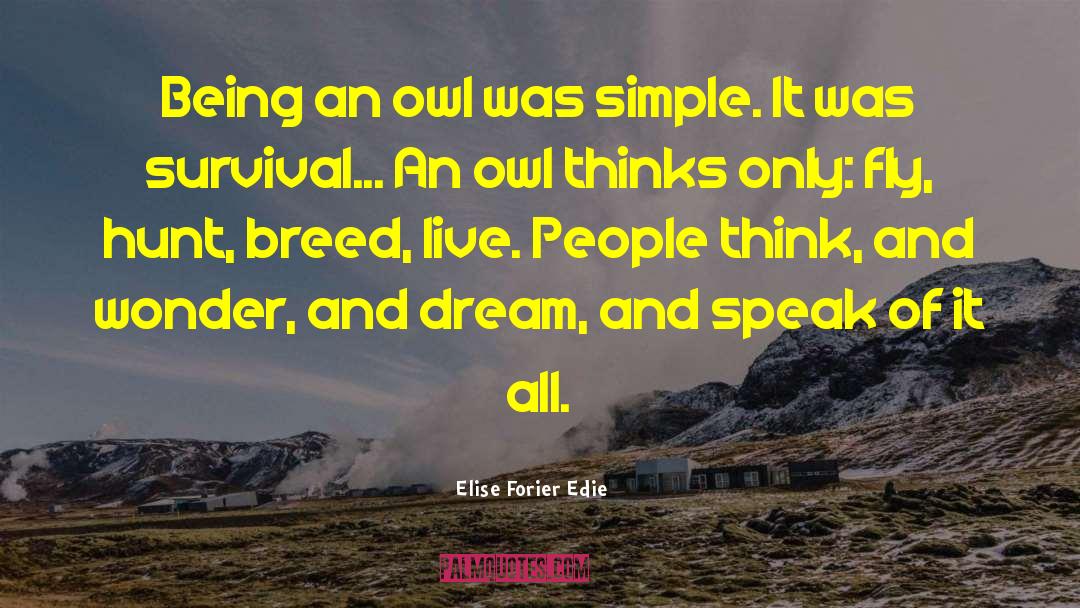 Elise Forier Edie Quotes: Being an owl was simple.