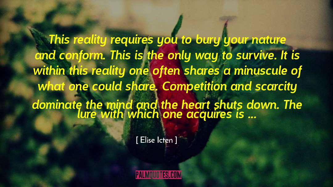 Elise Icten Quotes: This reality requires you to