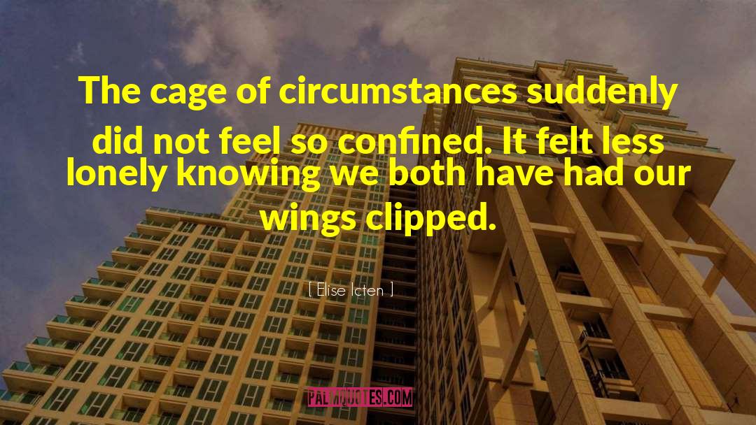 Elise Icten Quotes: The cage of circumstances suddenly