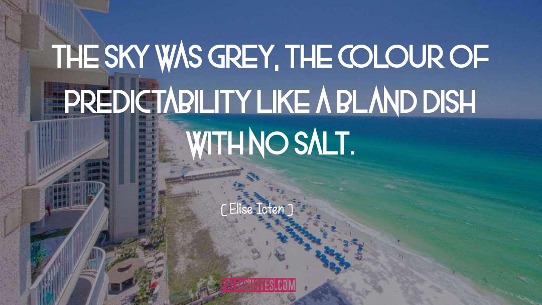 Elise Icten Quotes: The sky was grey, the