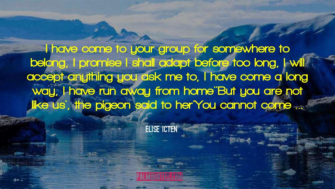 Elise Icten Quotes: I have come to your