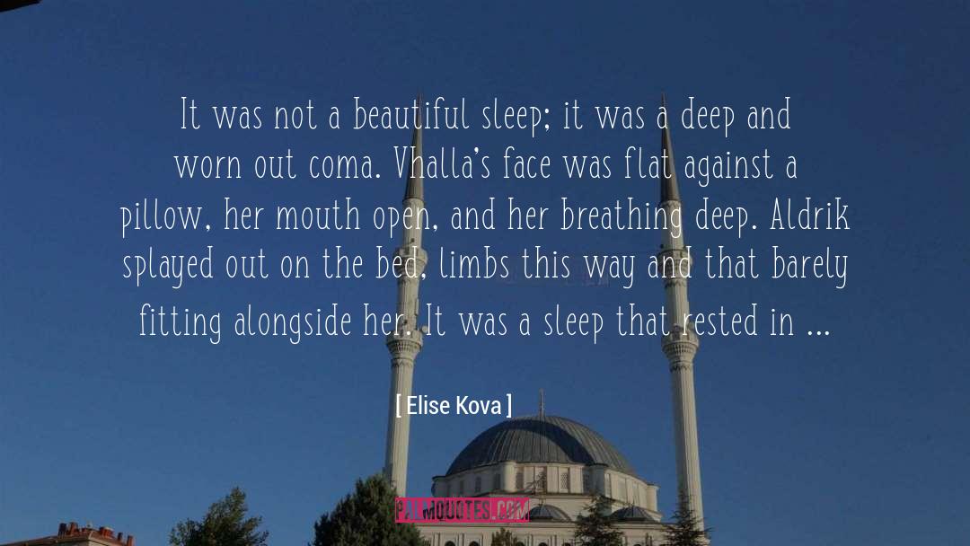 Elise Kova Quotes: It was not a beautiful