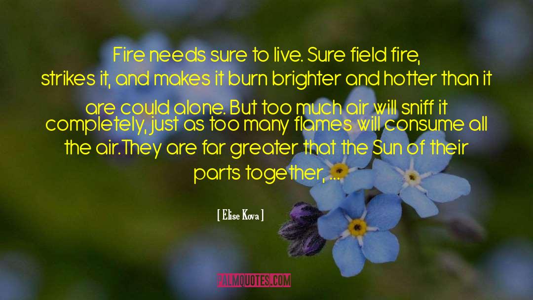 Elise Kova Quotes: Fire needs sure to live.