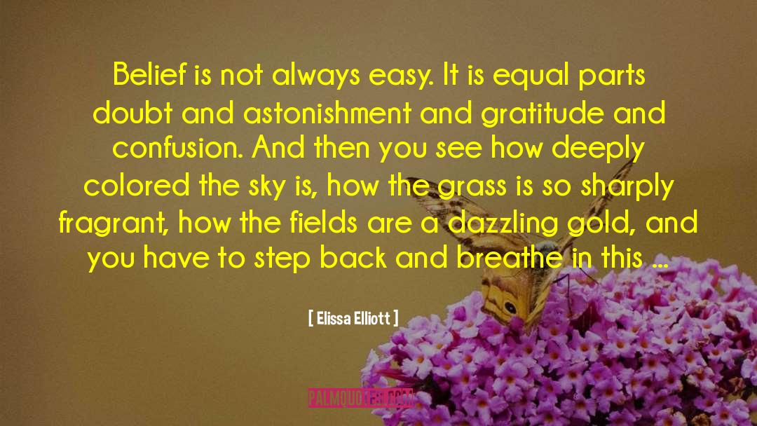 Elissa Elliott Quotes: Belief is not always easy.