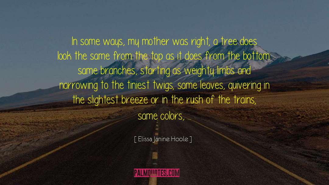 Elissa Janine Hoole Quotes: In some ways, my mother