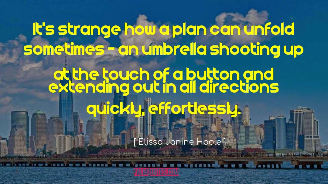 Elissa Janine Hoole Quotes: It's strange how a plan