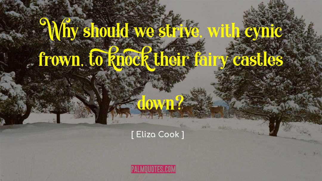 Eliza Cook Quotes: Why should we strive, with