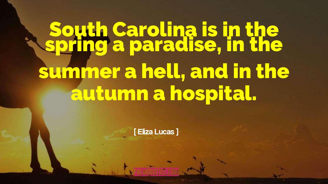Eliza Lucas Quotes: South Carolina is in the