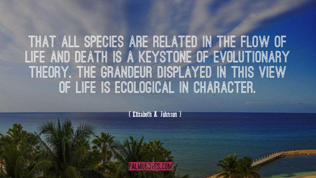 Elizabeth A. Johnson Quotes: That all species are related