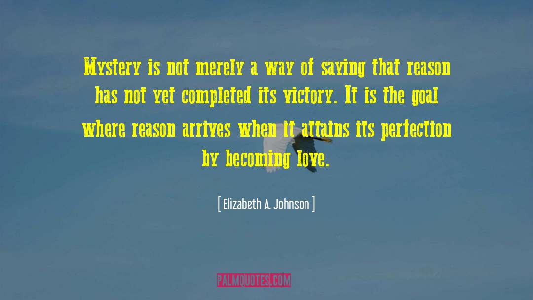 Elizabeth A. Johnson Quotes: Mystery is not merely a