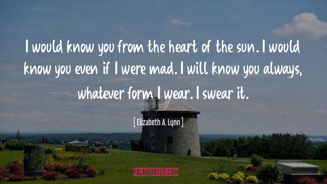 Elizabeth A. Lynn Quotes: I would know you from