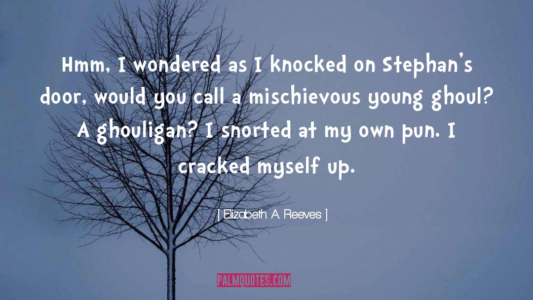 Elizabeth A. Reeves Quotes: Hmm, I wondered as I