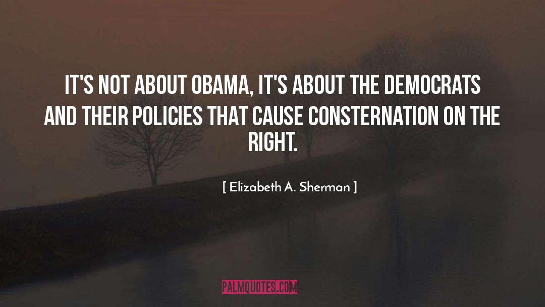 Elizabeth A. Sherman Quotes: It's not about Obama, it's
