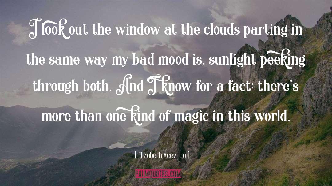 Elizabeth Acevedo Quotes: I look out the window