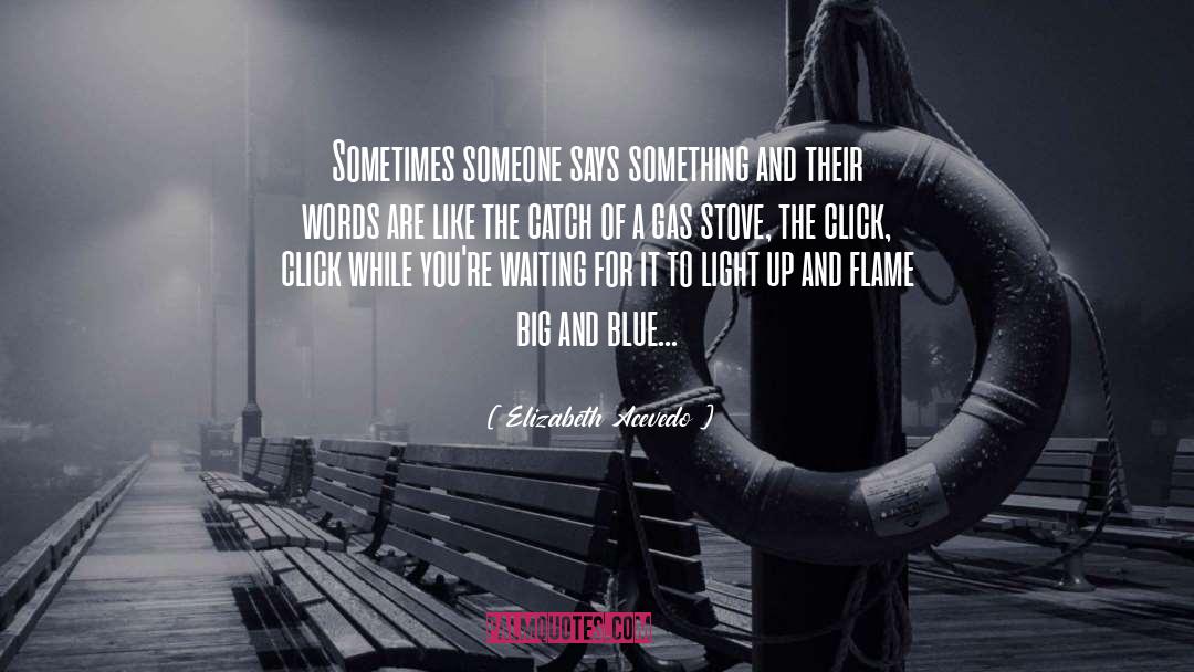 Elizabeth Acevedo Quotes: Sometimes someone says something and