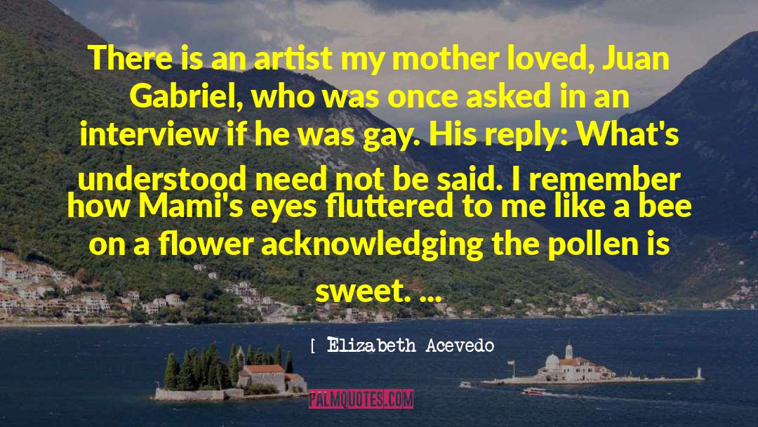 Elizabeth Acevedo Quotes: There is an artist my