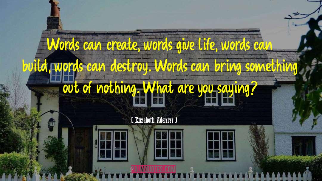 Elizabeth Adeniyi Quotes: Words can create, words give