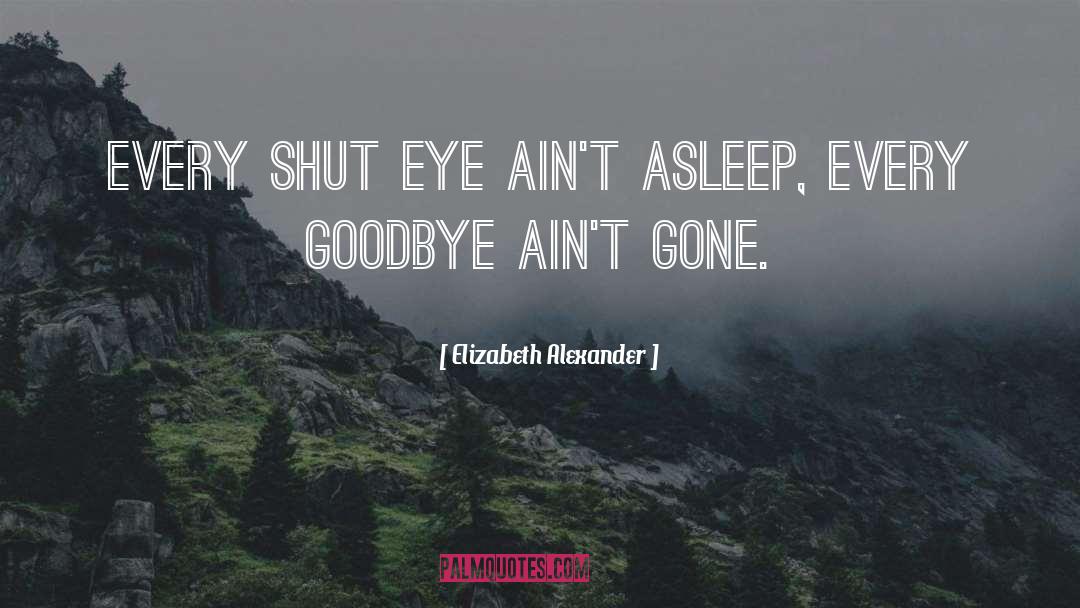 Elizabeth Alexander Quotes: every shut eye ain't asleep,