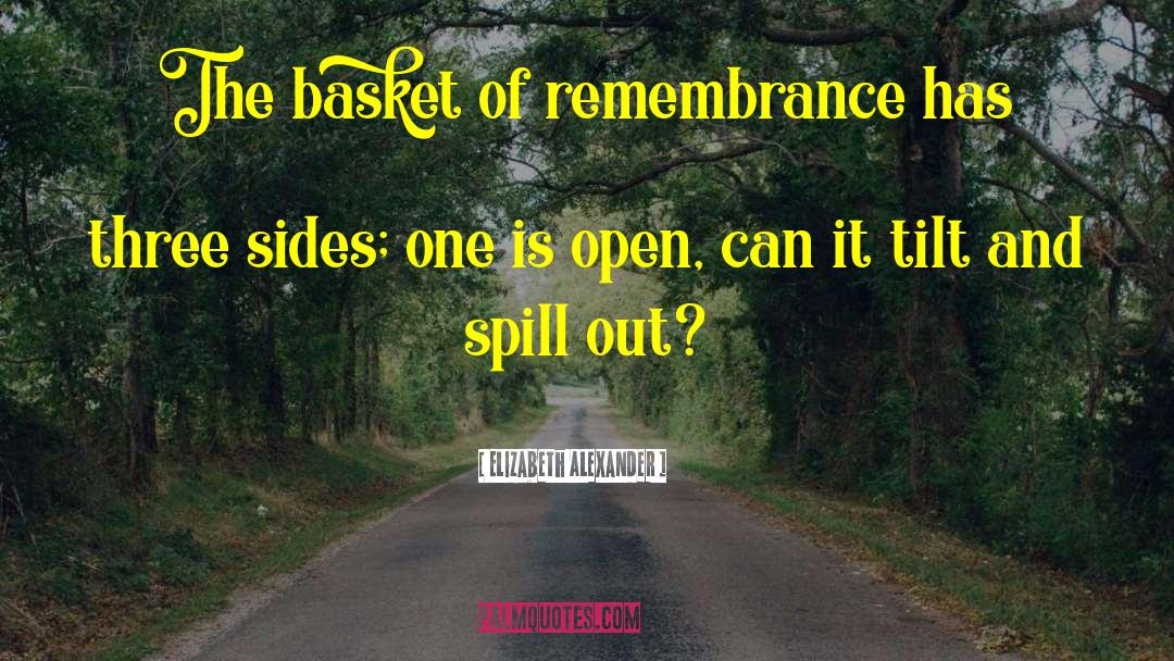 Elizabeth Alexander Quotes: The basket of remembrance has