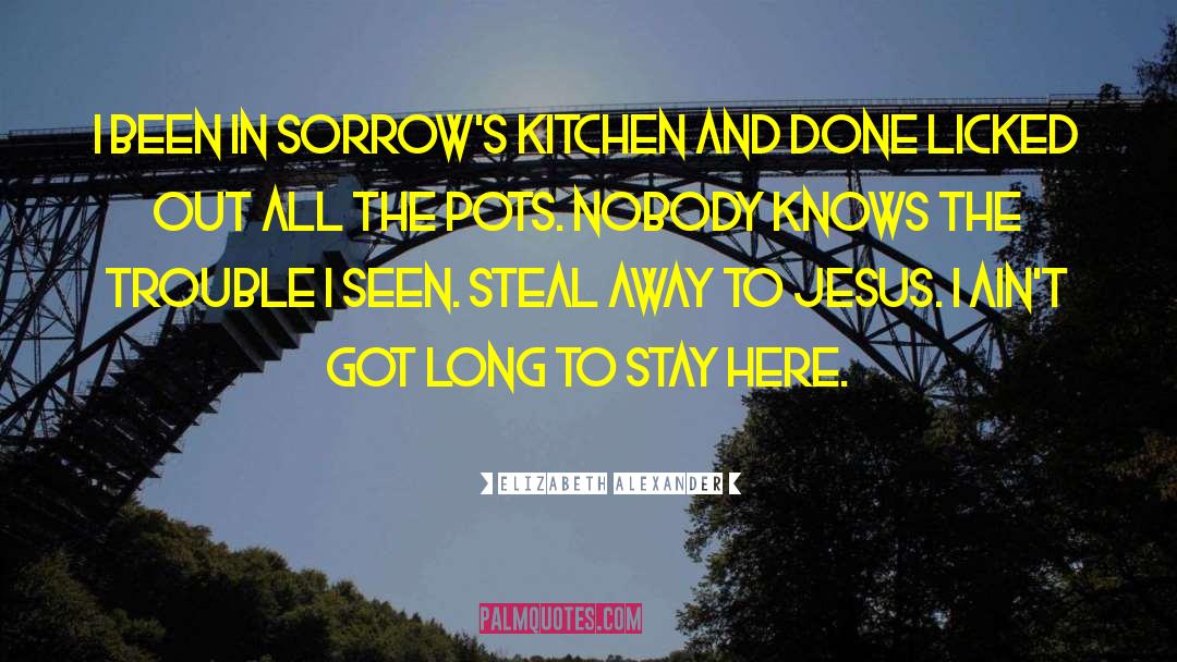 Elizabeth Alexander Quotes: I been in sorrow's kitchen