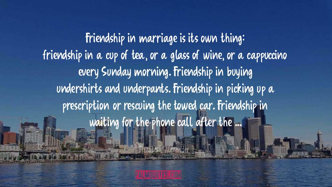 Elizabeth Alexander Quotes: Friendship in marriage is its