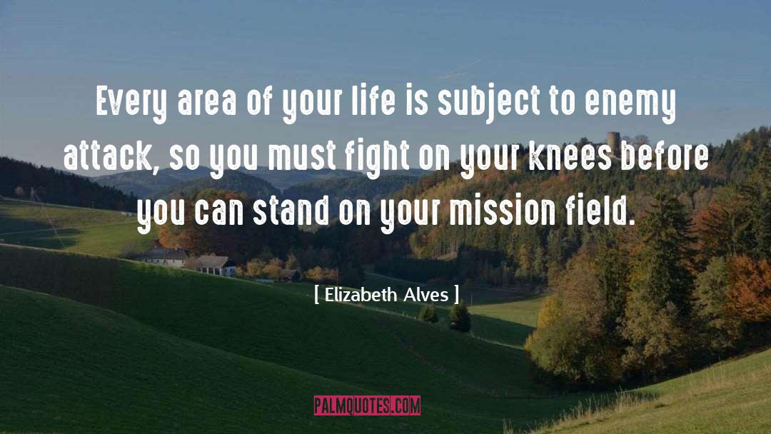 Elizabeth Alves Quotes: Every area of your life
