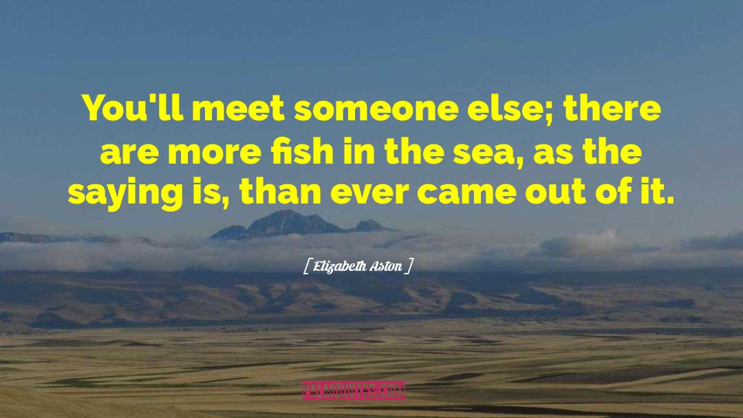 Elizabeth Aston Quotes: You'll meet someone else; there