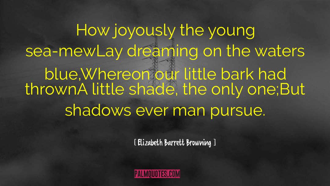 Elizabeth Barrett Browning Quotes: How joyously the young sea-mew<br>Lay