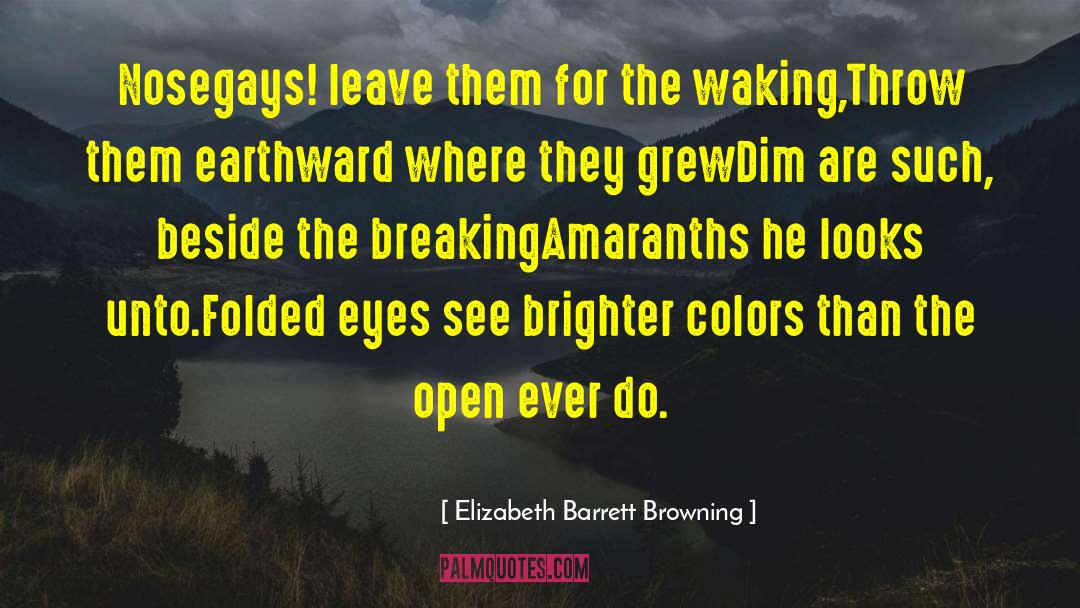 Elizabeth Barrett Browning Quotes: Nosegays! leave them for the