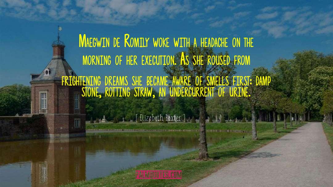 Elizabeth Baxter Quotes: Maegwin de Romily woke with