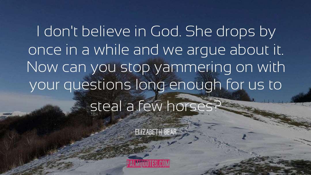 Elizabeth Bear Quotes: I don't believe in God.