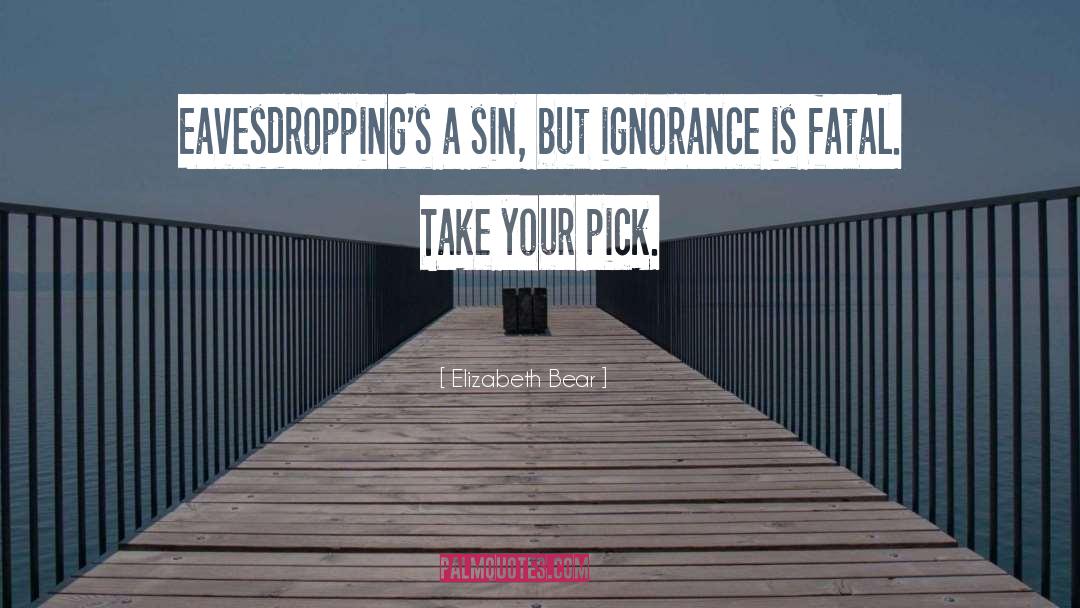 Elizabeth Bear Quotes: Eavesdropping's a sin, but ignorance