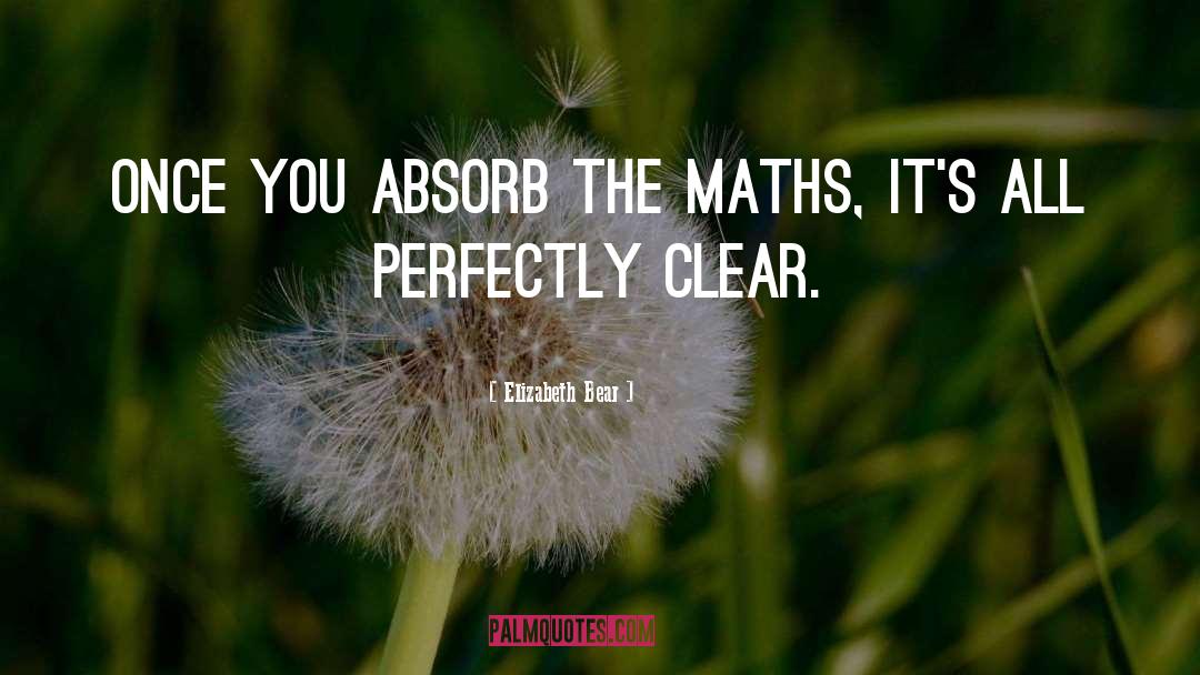 Elizabeth Bear Quotes: Once you absorb the maths,