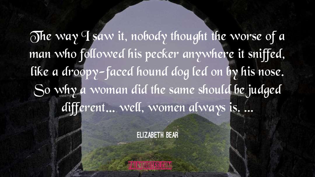 Elizabeth Bear Quotes: The way I saw it,