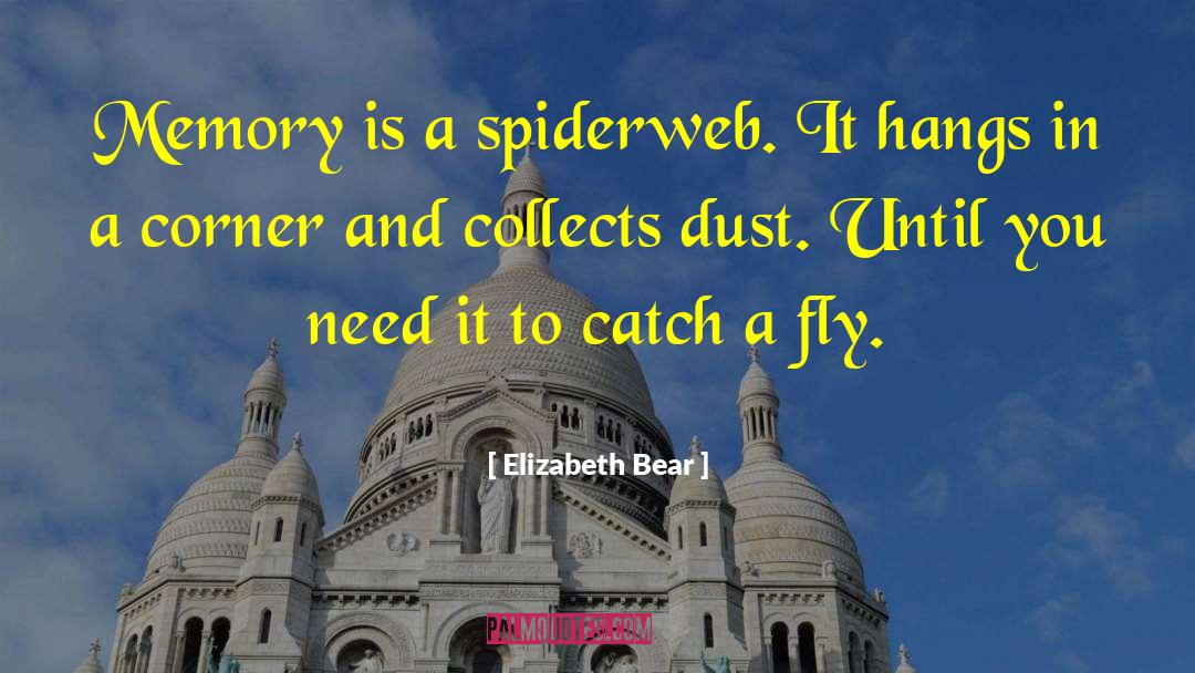 Elizabeth Bear Quotes: Memory is a spiderweb. It