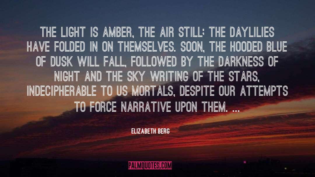 Elizabeth Berg Quotes: The light is amber, the
