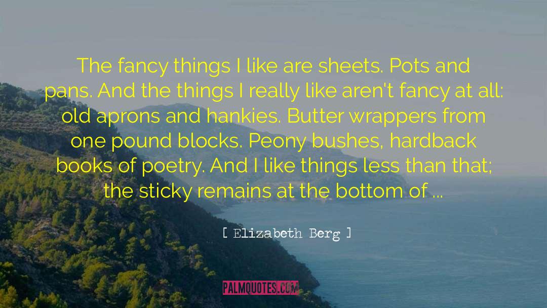 Elizabeth Berg Quotes: The fancy things I like