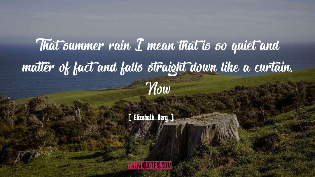 Elizabeth Berg Quotes: That summer rain I mean