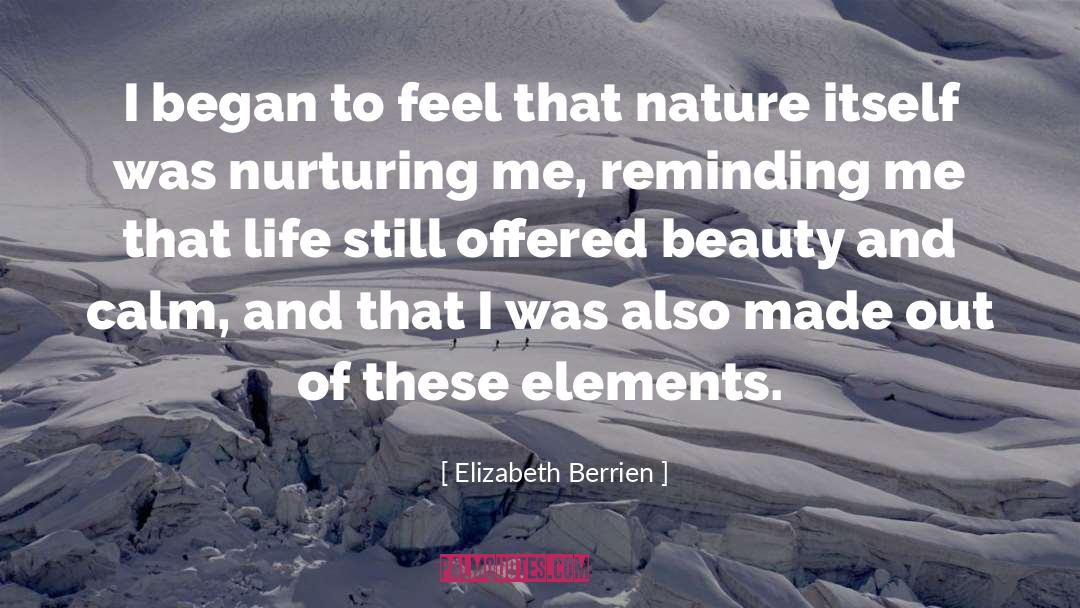 Elizabeth Berrien Quotes: I began to feel that