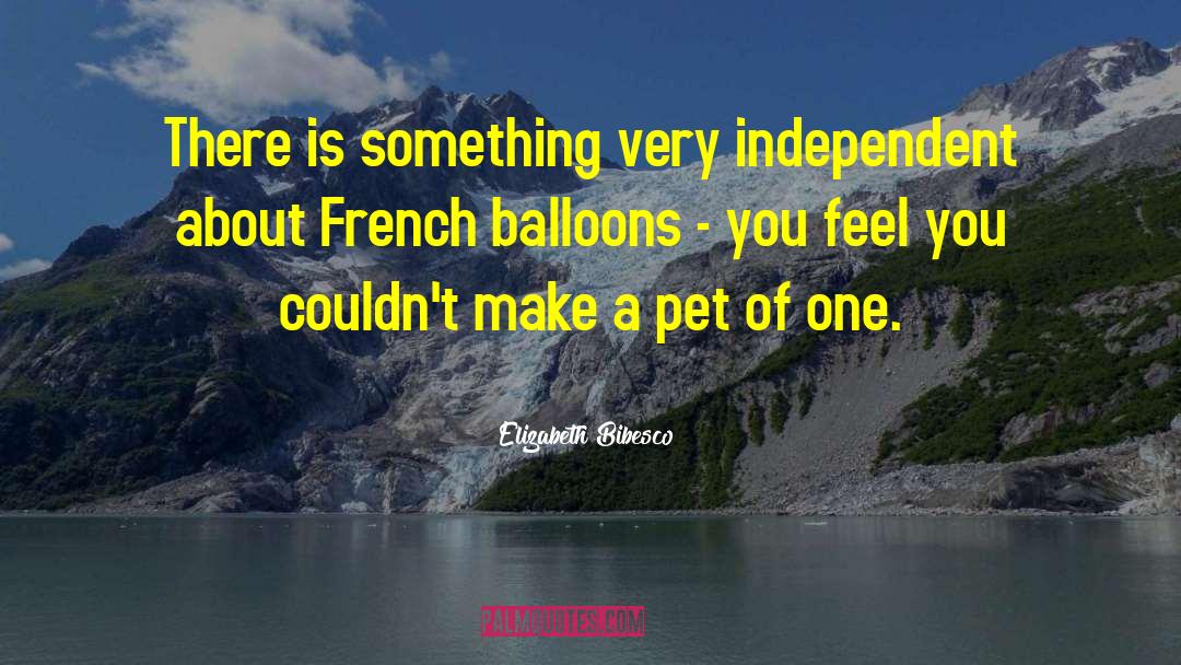 Elizabeth Bibesco Quotes: There is something very independent