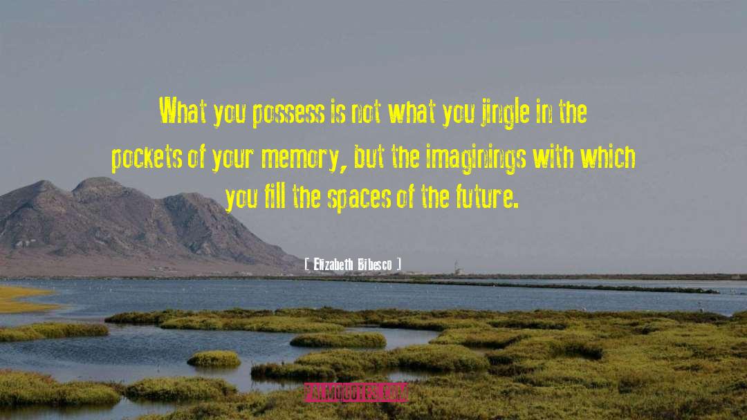 Elizabeth Bibesco Quotes: What you possess is not