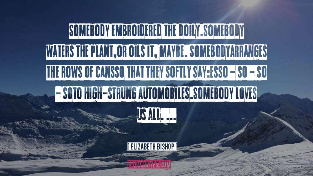 Elizabeth Bishop Quotes: Somebody embroidered the doily.<br>Somebody waters