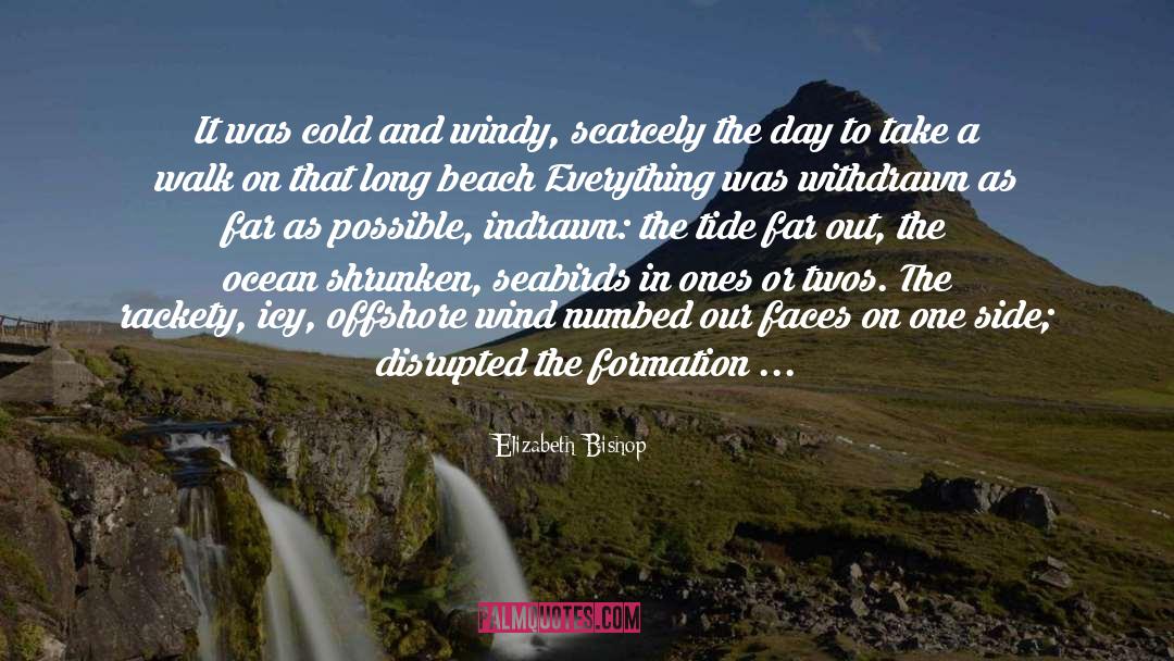 Elizabeth Bishop Quotes: It was cold and windy,