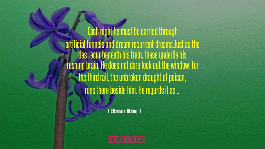 Elizabeth Bishop Quotes: Each night he must<br> be