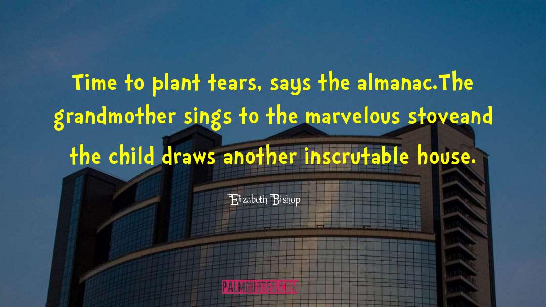 Elizabeth Bishop Quotes: Time to plant tears, says
