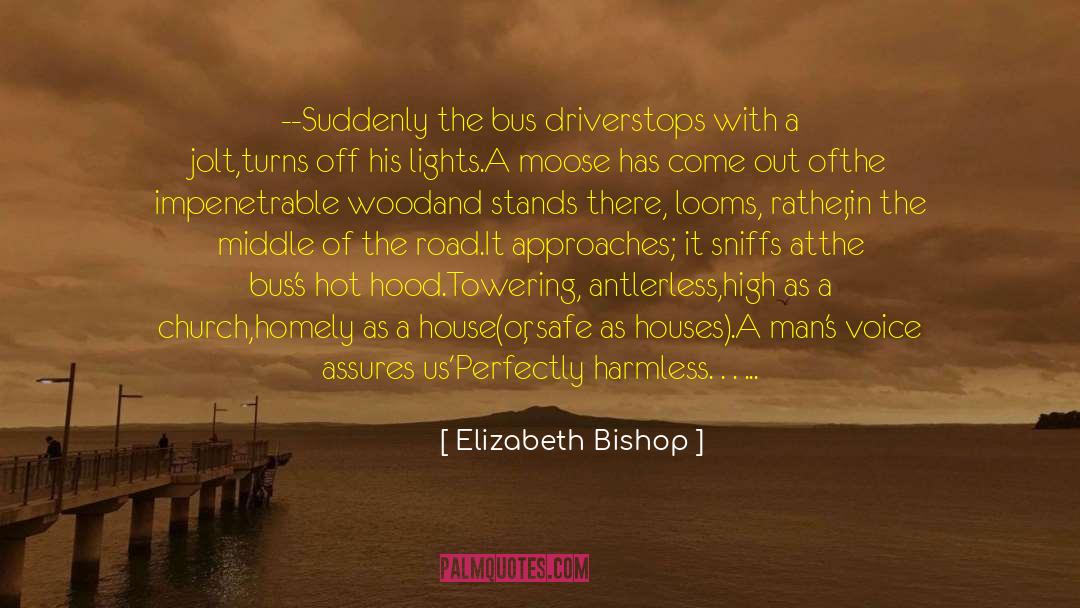 Elizabeth Bishop Quotes: --Suddenly the bus driver<br />stops