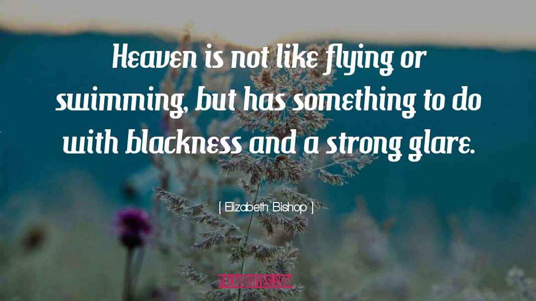 Elizabeth Bishop Quotes: Heaven is not like flying